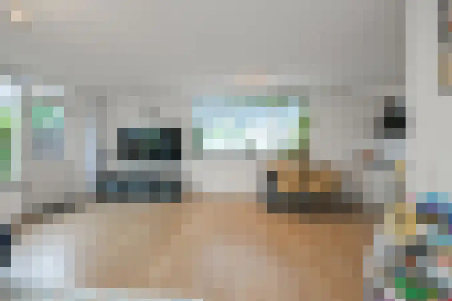 Brandgans 20 Uithoorn thumbnail 10