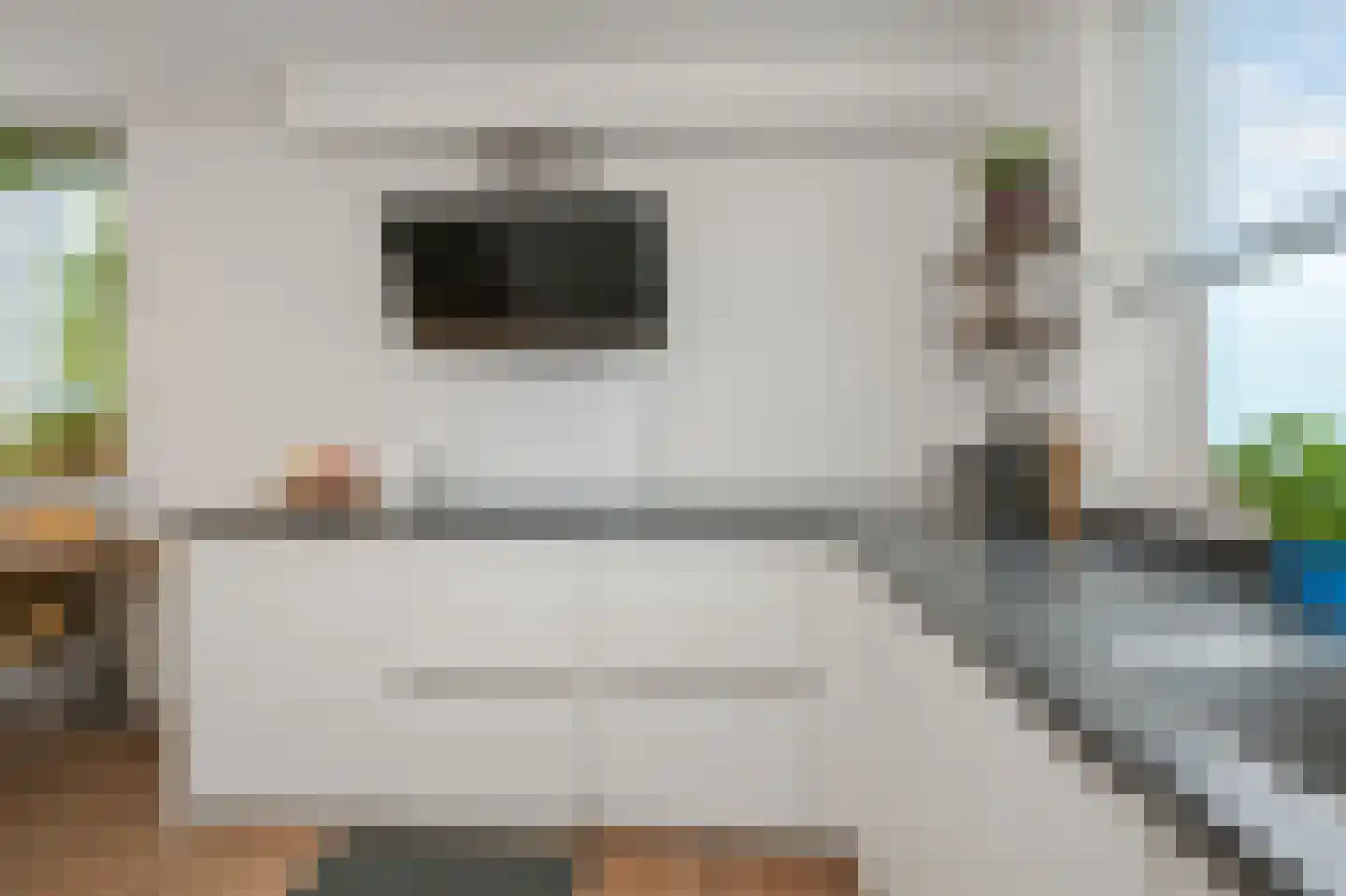 Brandgans 20 Uithoorn thumbnail 13