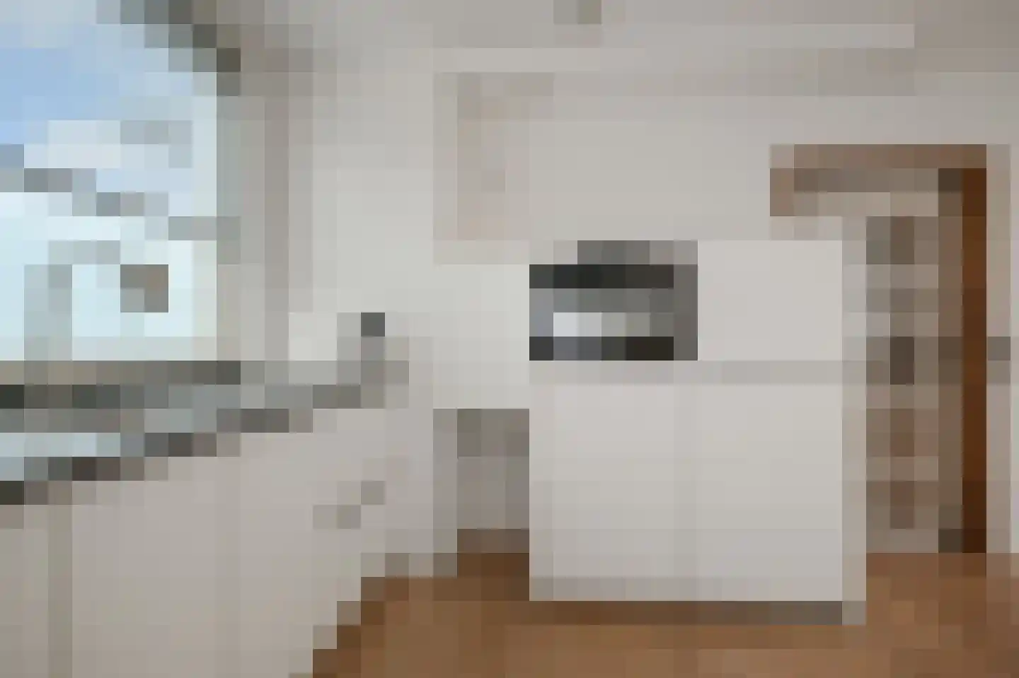 Brandgans 20 Uithoorn thumbnail 14
