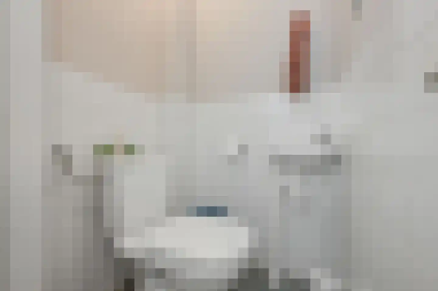 Brandgans 20 Uithoorn thumbnail 18