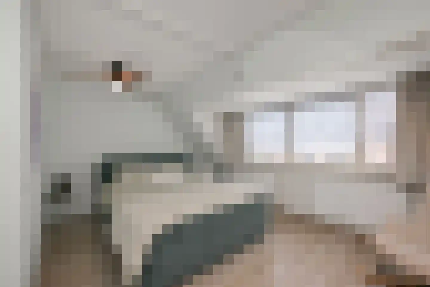 Brandgans 20 Uithoorn thumbnail 19