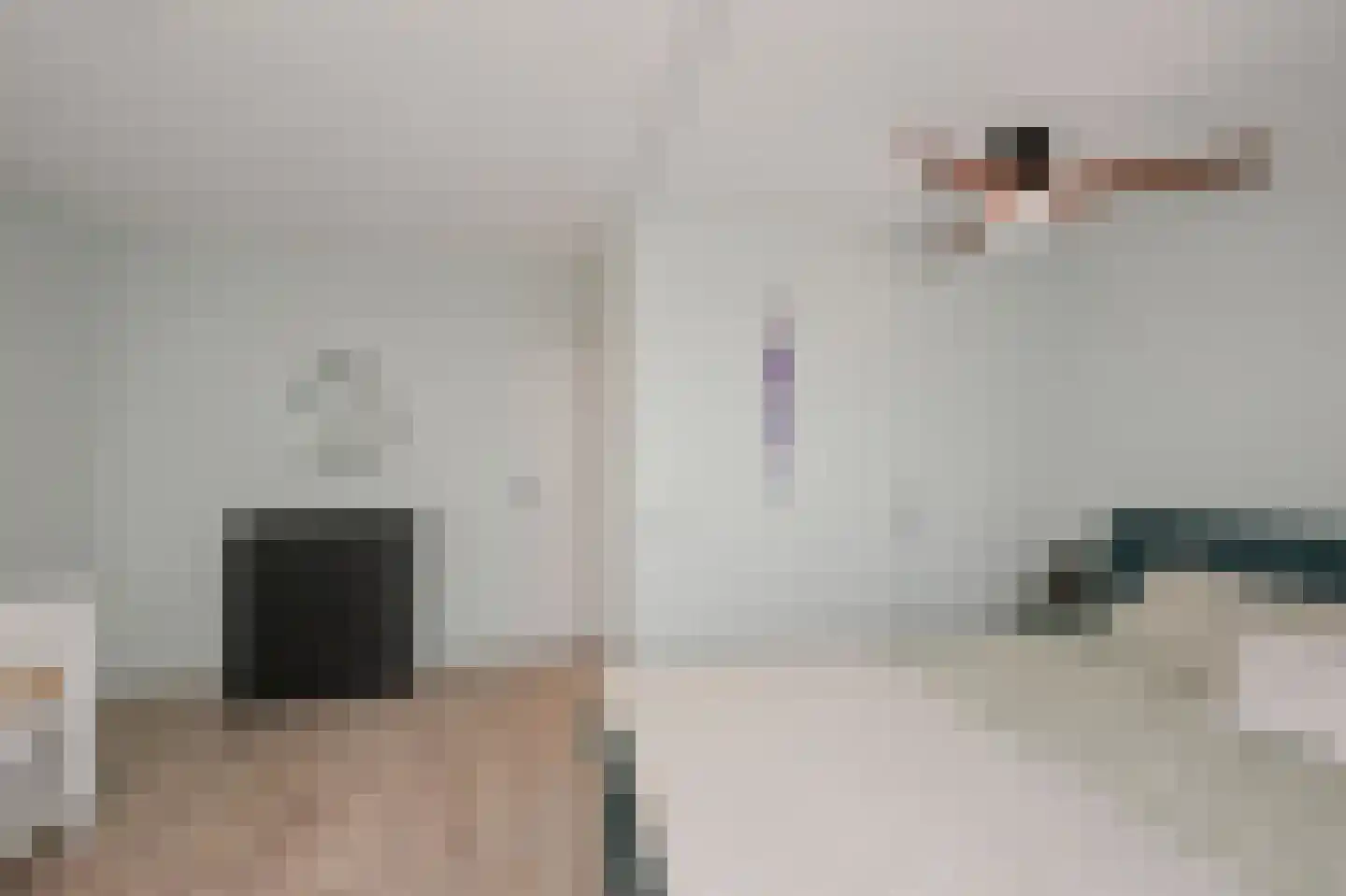 Brandgans 20 Uithoorn thumbnail 20