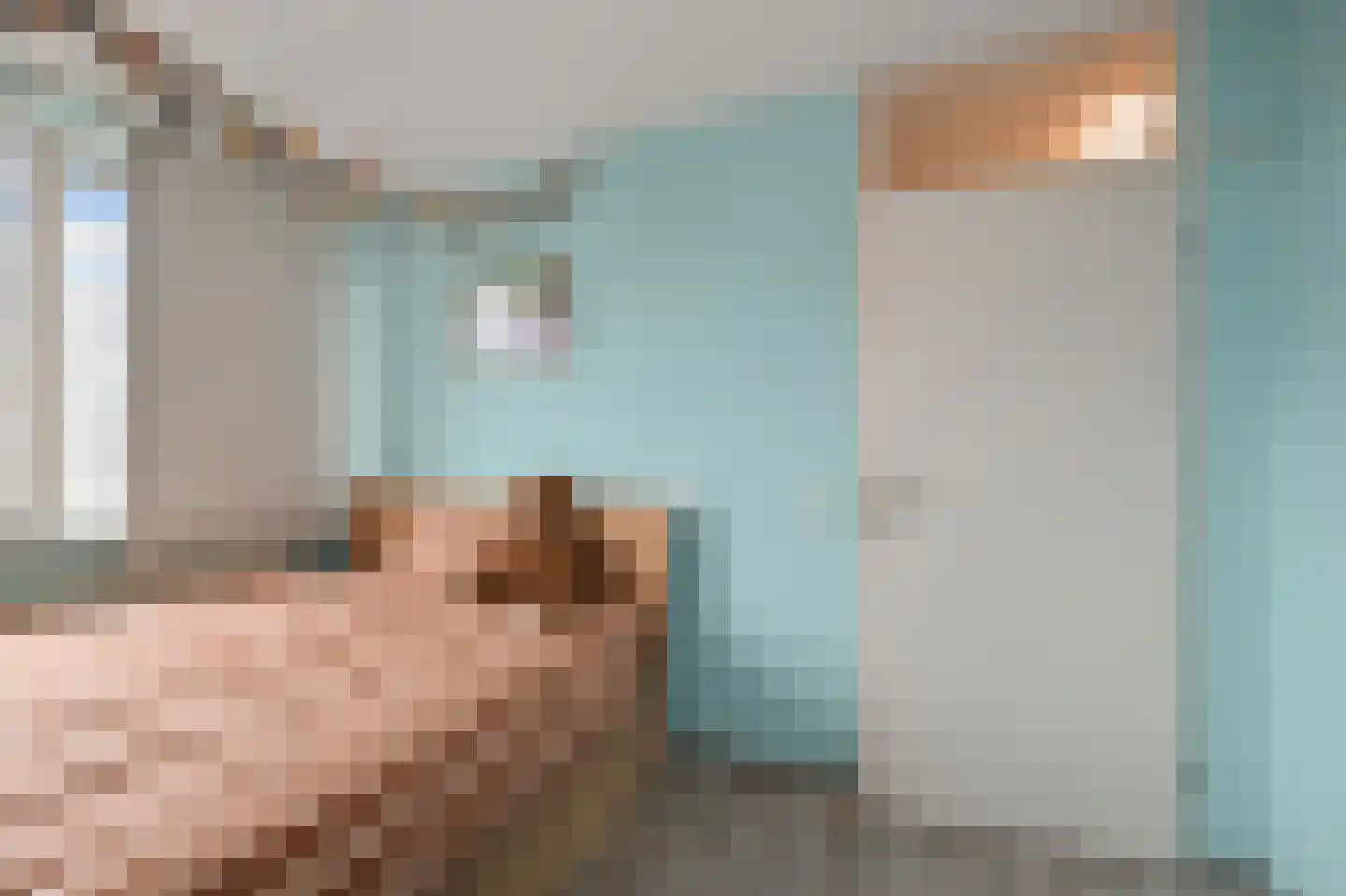 Brandgans 20 Uithoorn thumbnail 23