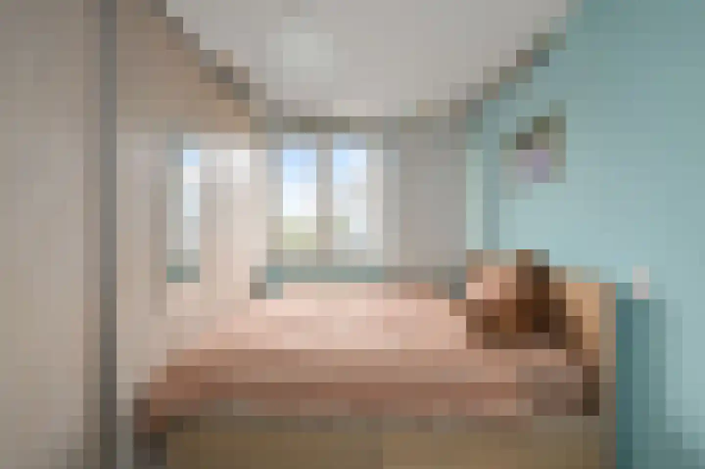 Brandgans 20 Uithoorn thumbnail 24