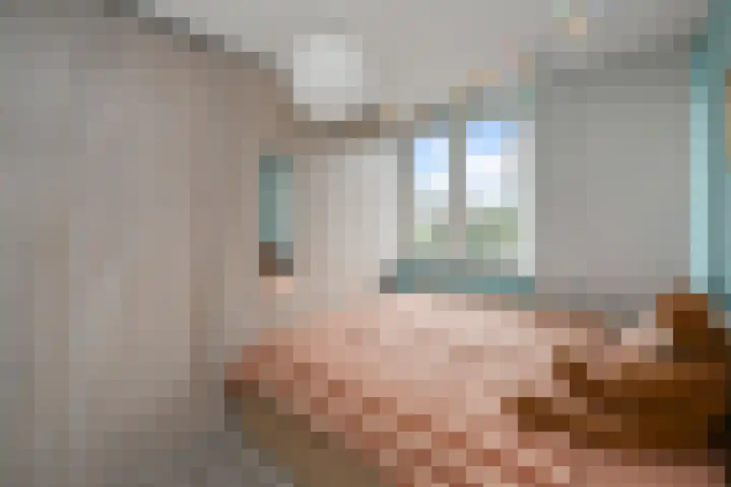 Brandgans 20 Uithoorn thumbnail 25