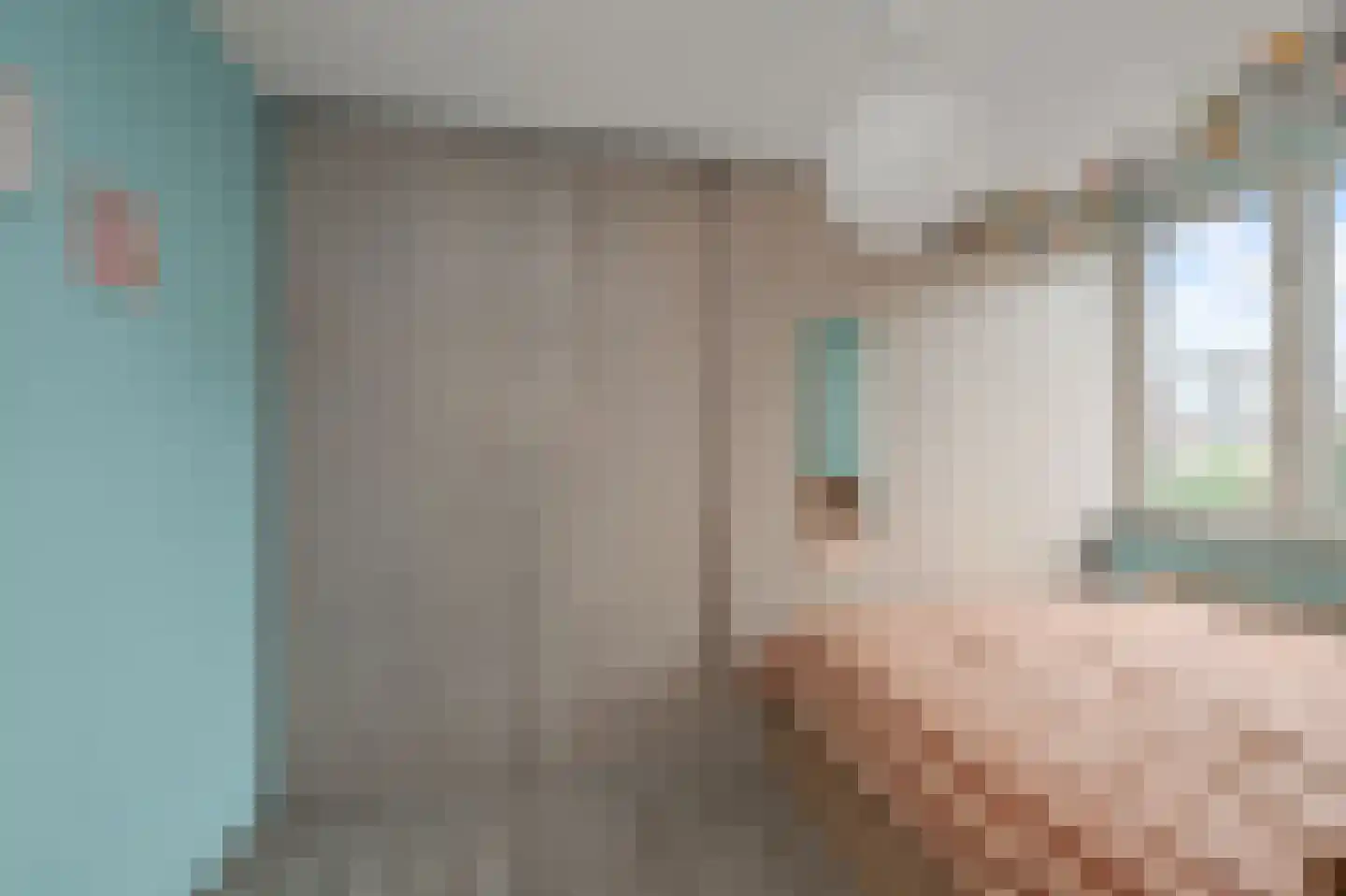 Brandgans 20 Uithoorn thumbnail 26