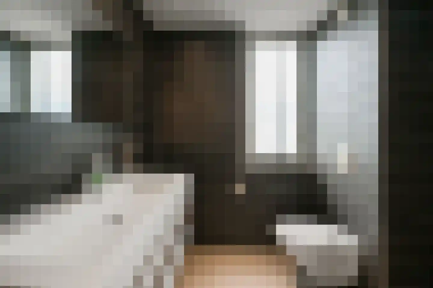 Brandgans 20 Uithoorn thumbnail 27