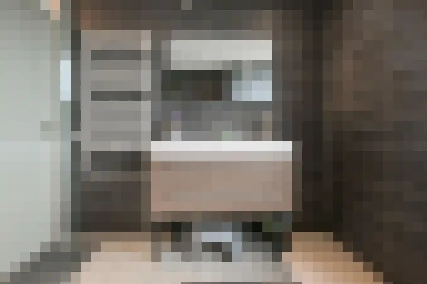Brandgans 20 Uithoorn thumbnail 28