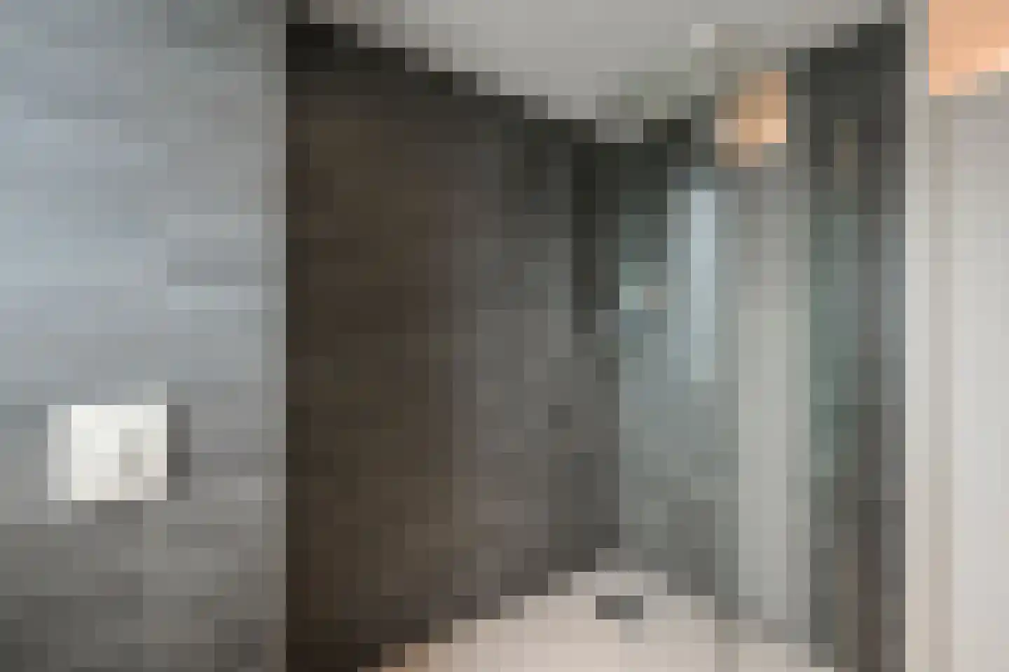 Brandgans 20 Uithoorn thumbnail 29