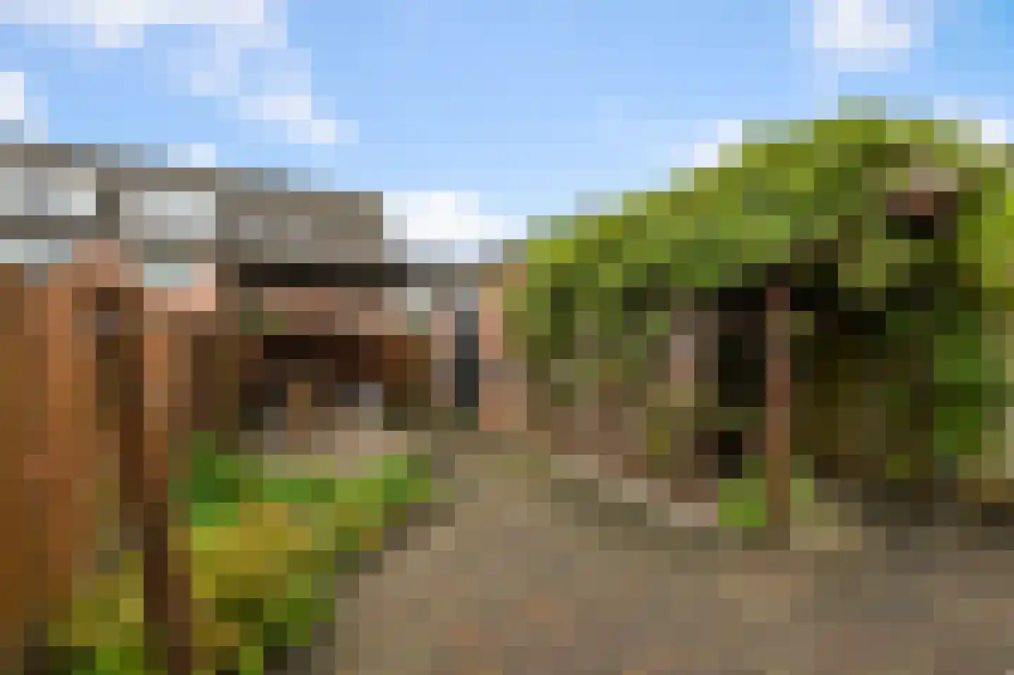 Brandgans 20 Uithoorn thumbnail 35