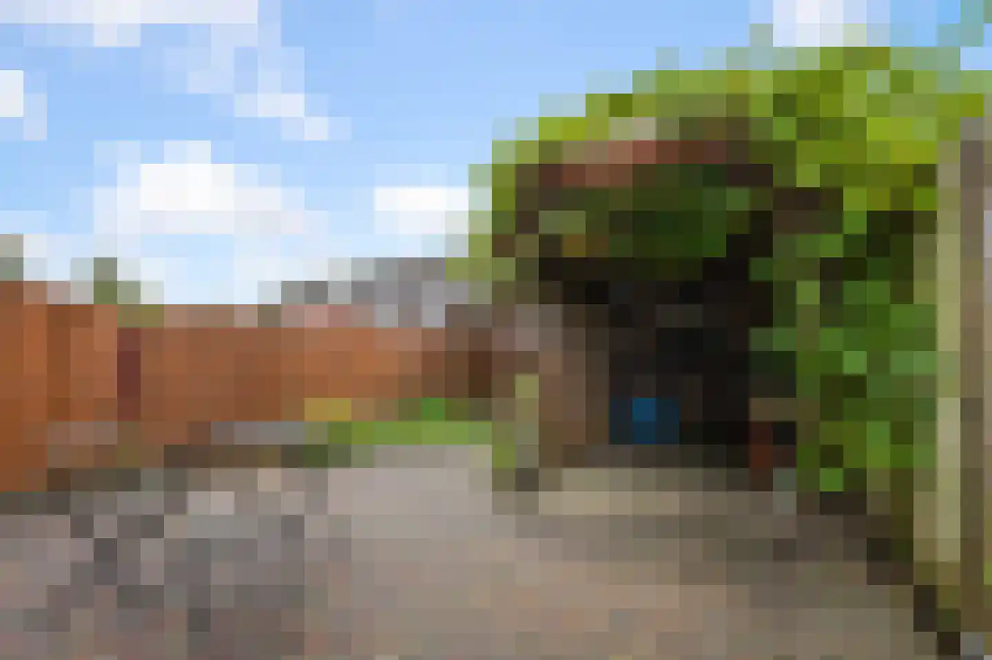 Brandgans 20 Uithoorn thumbnail 36