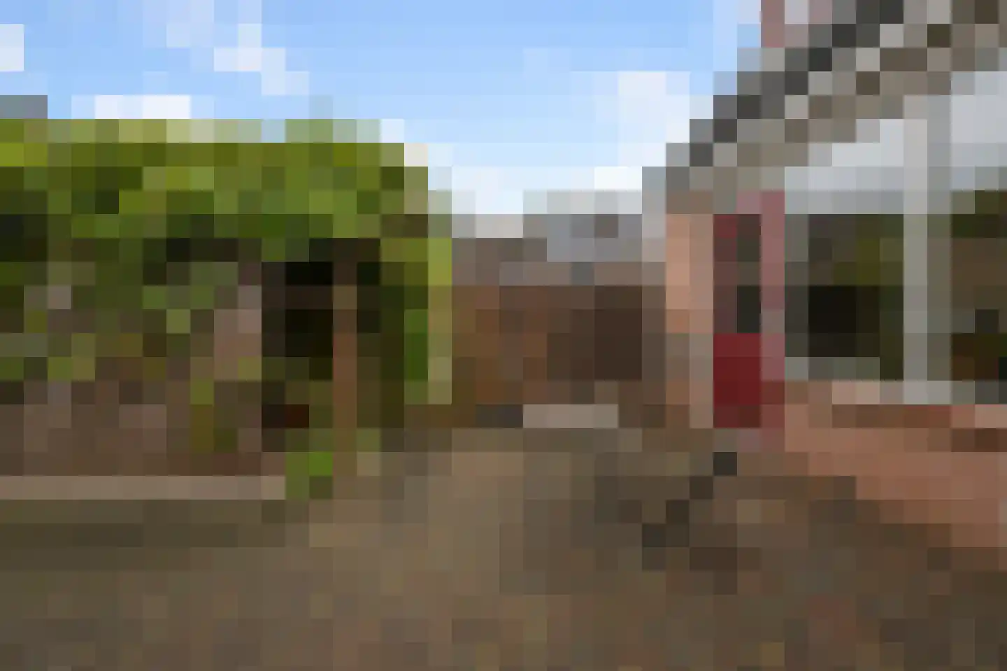 Brandgans 20 Uithoorn thumbnail 37