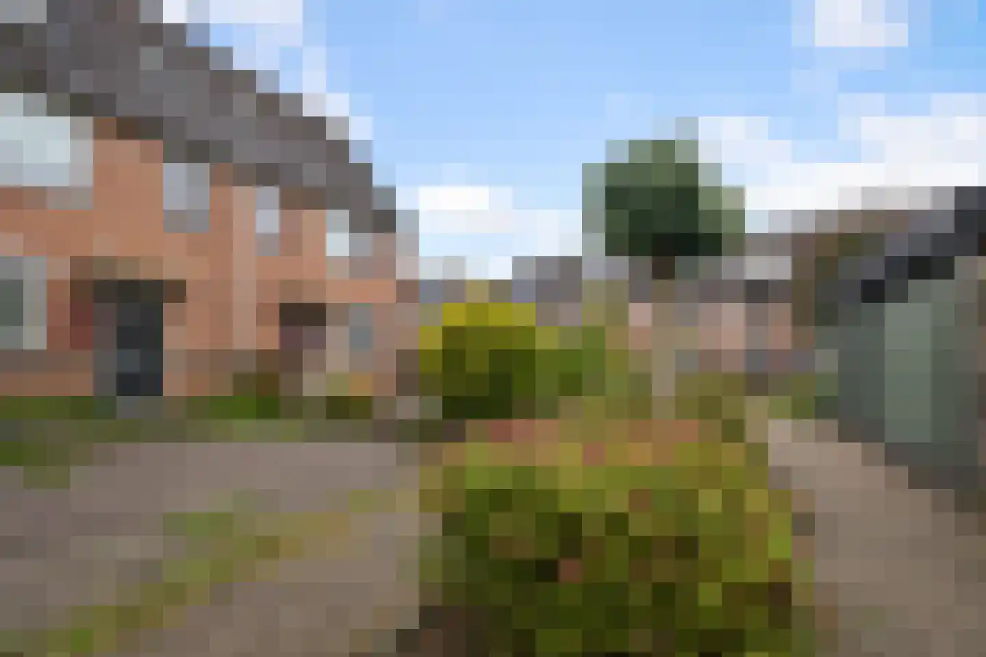 Brandgans 20 Uithoorn thumbnail 38
