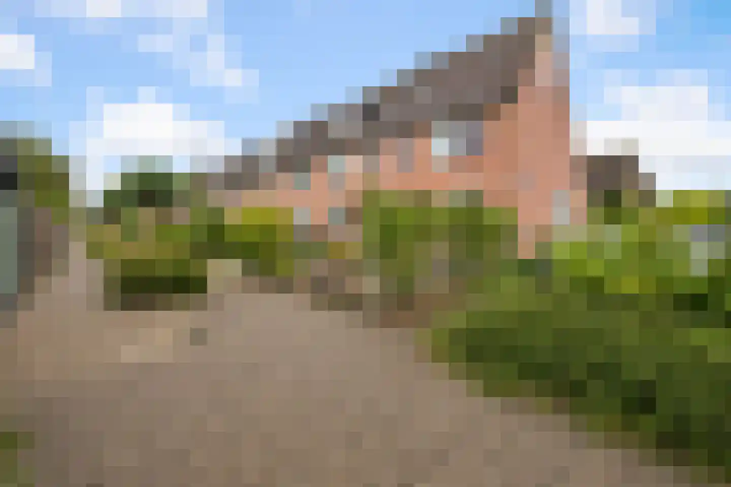 Brandgans 20 Uithoorn thumbnail 39