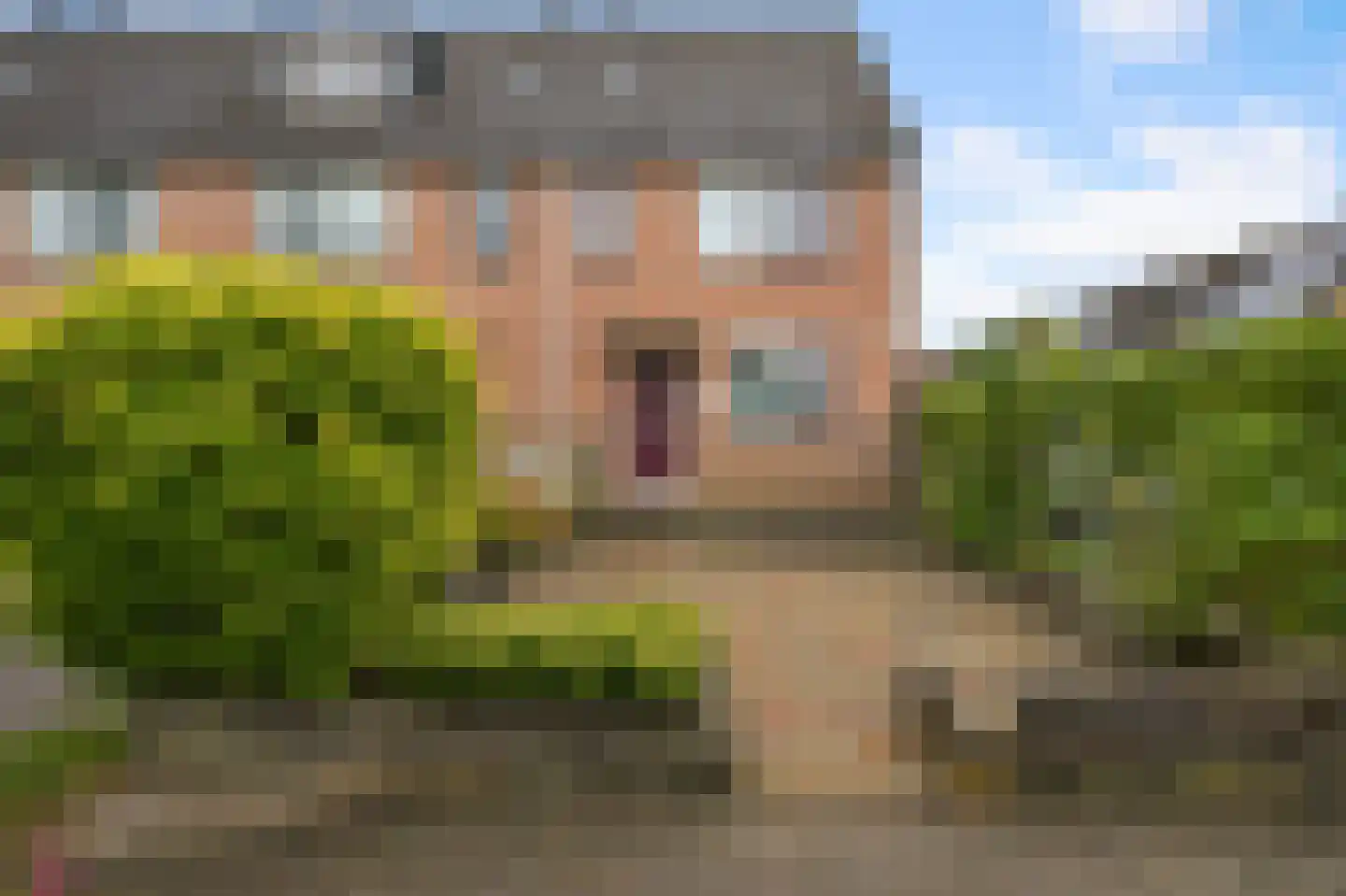 Brandgans 20 Uithoorn thumbnail 40