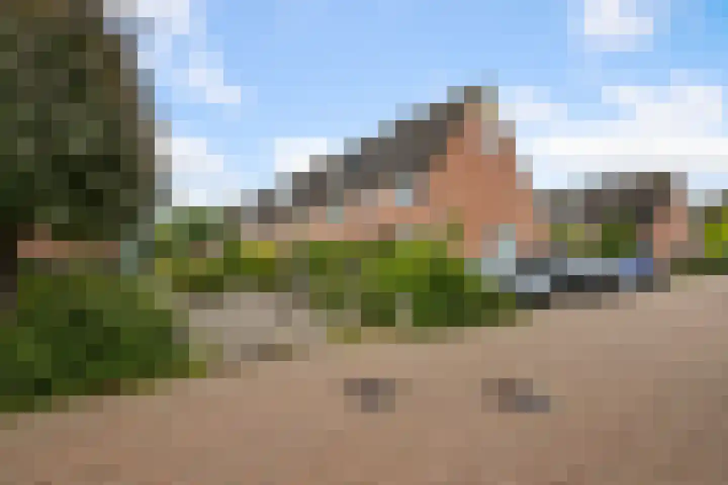 Brandgans 20 Uithoorn thumbnail 41