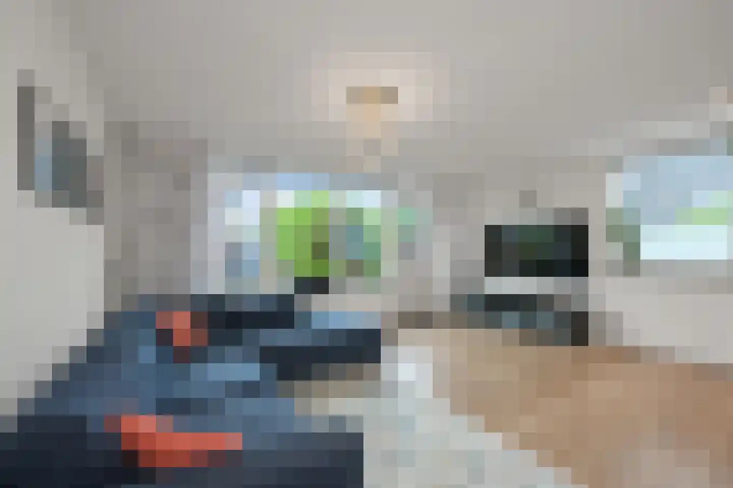 Brandgans 20 Uithoorn thumbnail 7