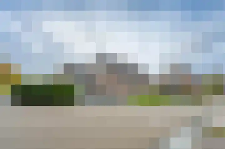 Brandgans 46 Emmen thumbnail 36