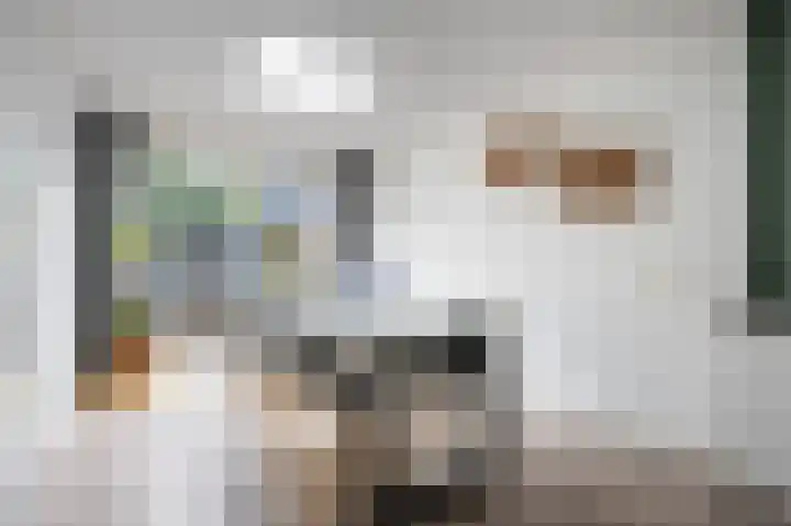 Brandgans 46 Emmen thumbnail 8