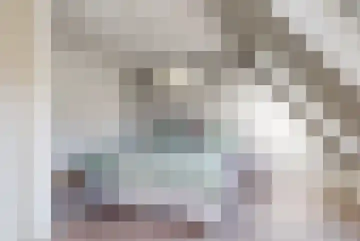 Brandgans 8 Uithoorn thumbnail 10