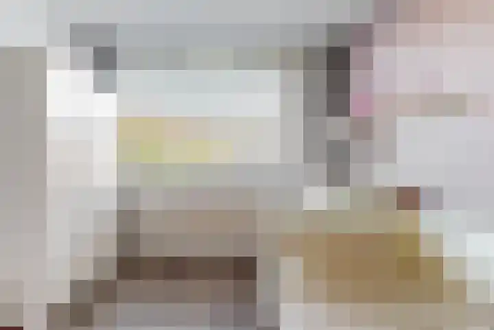 Brandgans 8 Uithoorn thumbnail 11