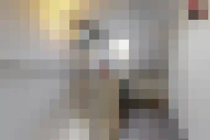 Brandgans 8 Uithoorn thumbnail 15