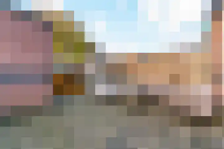 Brandgans 8 Uithoorn thumbnail 18