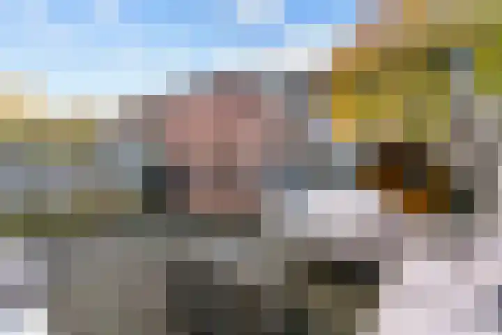 Brandgans 8 Uithoorn thumbnail 19