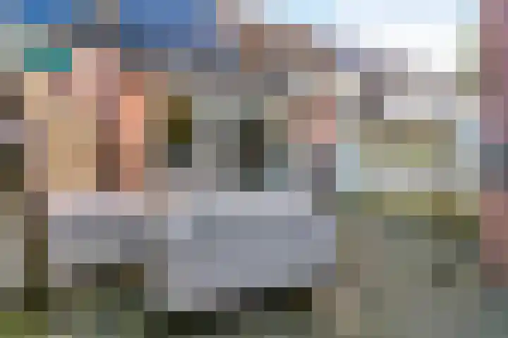 Brandgans 8 Uithoorn thumbnail 20