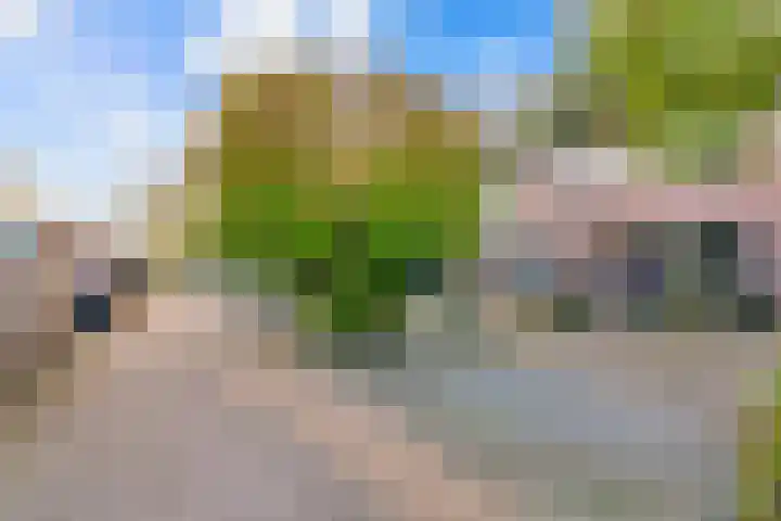 Brandgans 8 Uithoorn thumbnail 21