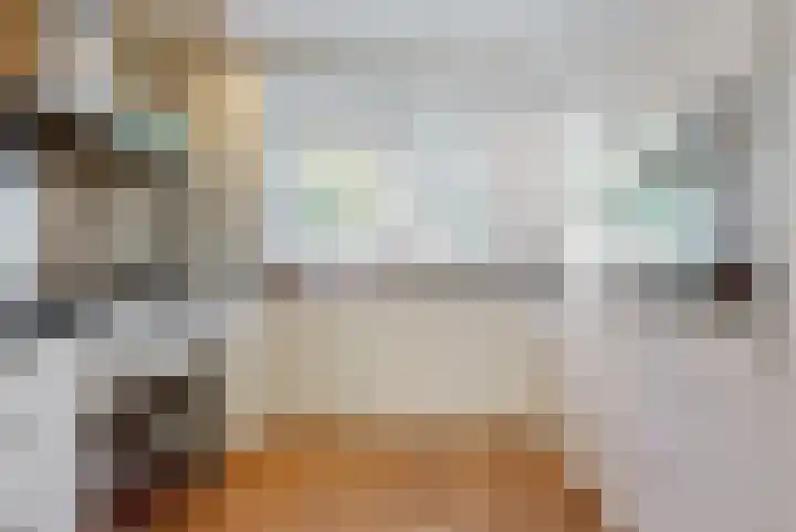 Brandgans 8 Uithoorn thumbnail 6