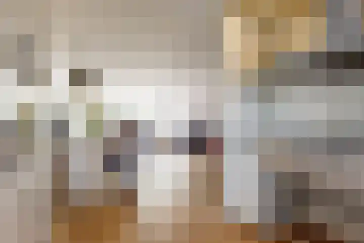 Brandgans 8 Uithoorn thumbnail 7