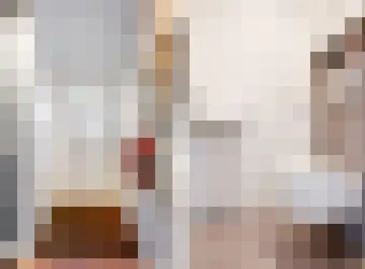 Brandgans 8 Uithoorn thumbnail 8