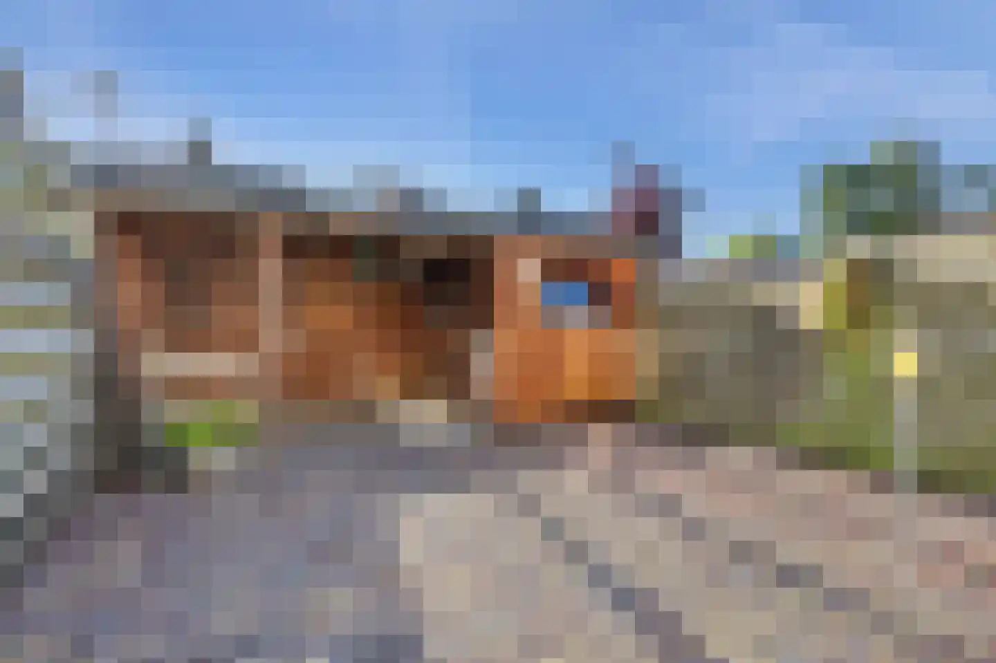 Brandgansstraat 4 Alkmaar thumbnail 32
