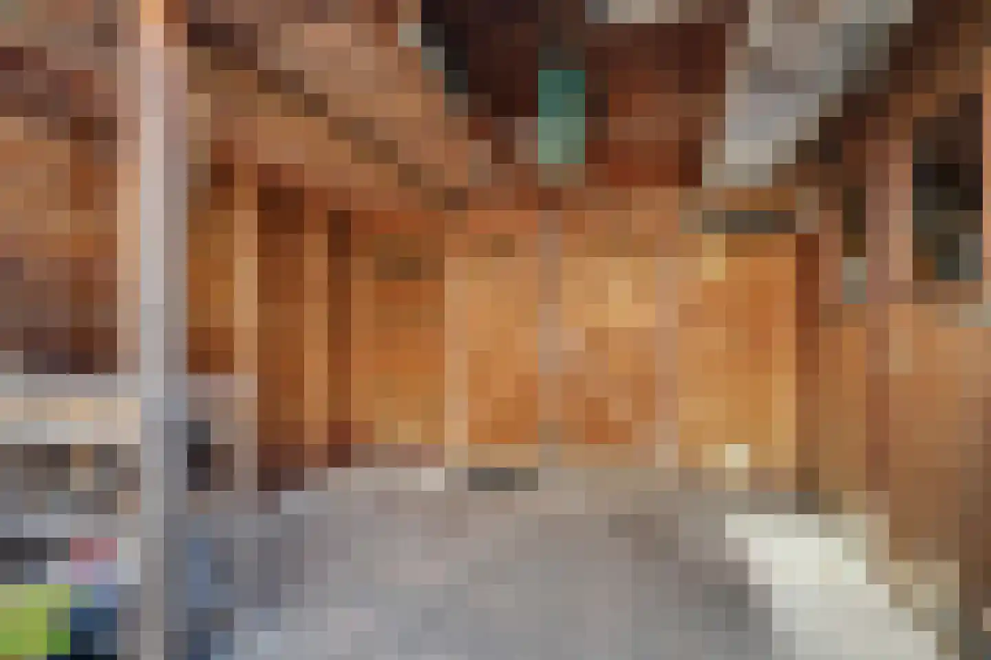 Brandgansstraat 4 Alkmaar thumbnail 33