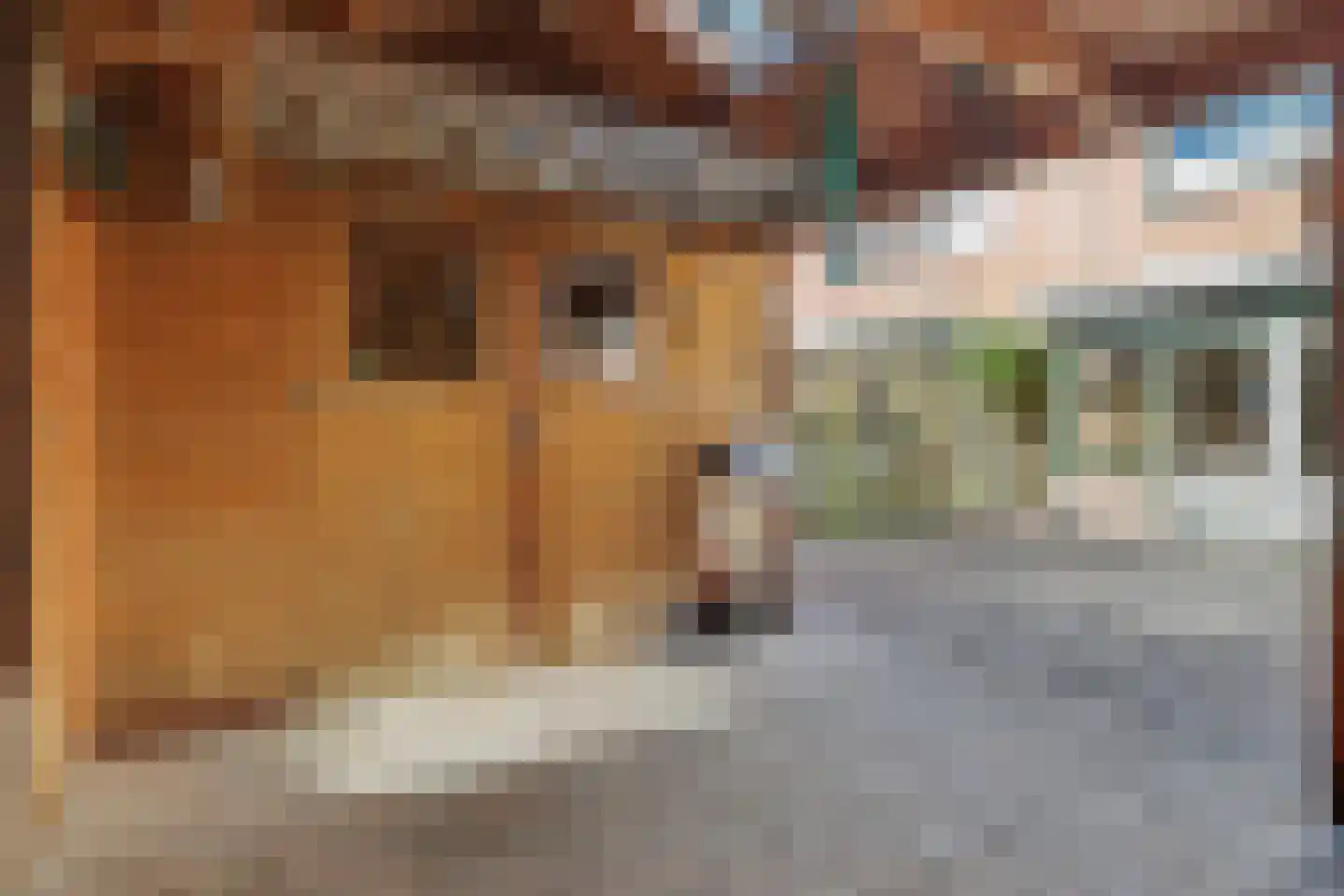 Brandgansstraat 4 Alkmaar thumbnail 34