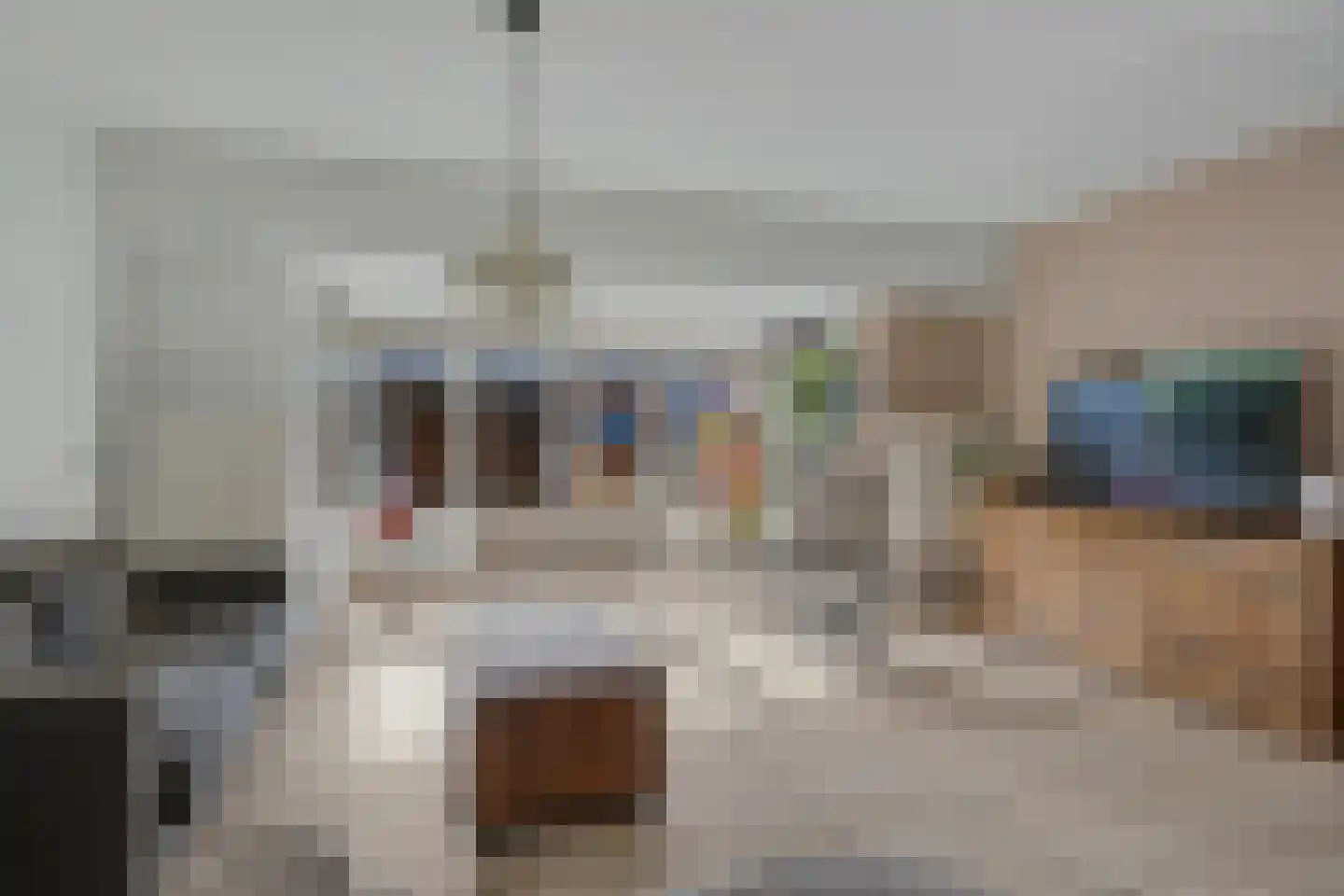 Brandgansstraat 4 Alkmaar thumbnail 9
