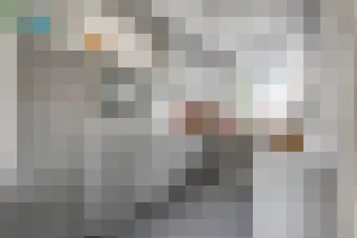 Brandgansstraat 42 Strijen thumbnail 11