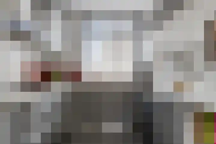 Brandgansstraat 42 Strijen thumbnail 12