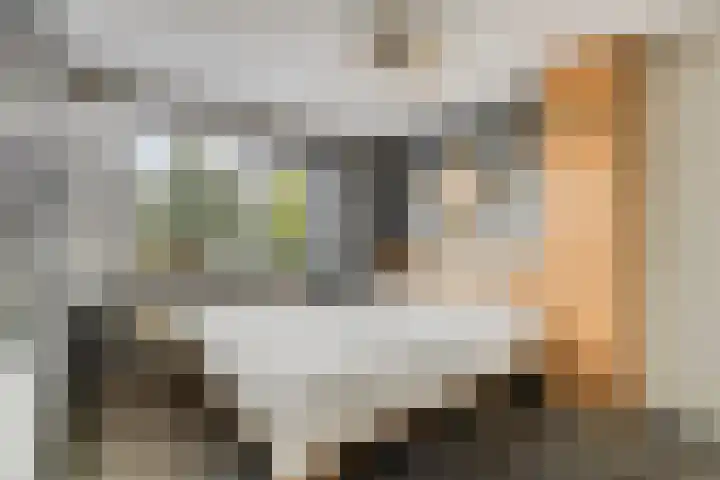 Brandgansstraat 42 Strijen thumbnail 15