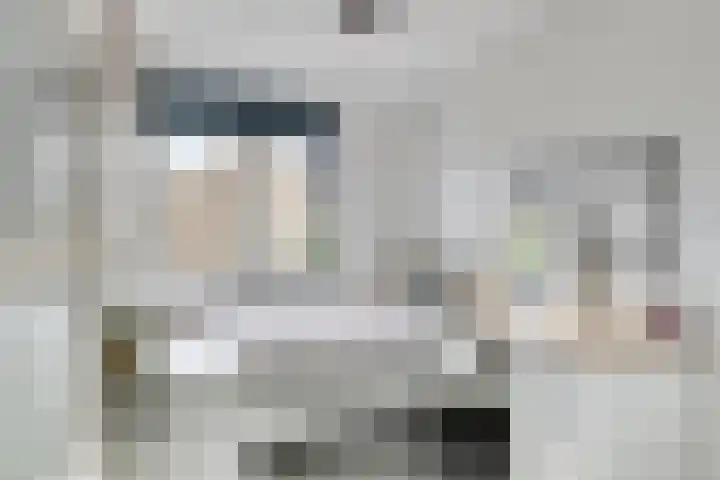 Brandgansstraat 42 Strijen thumbnail 21