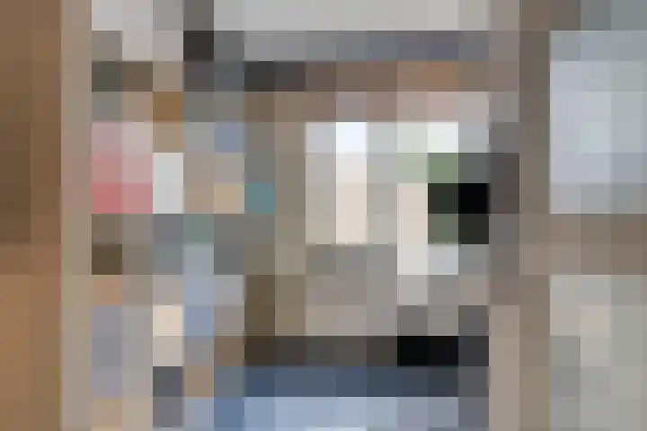 Brandgansstraat 42 Strijen thumbnail 22