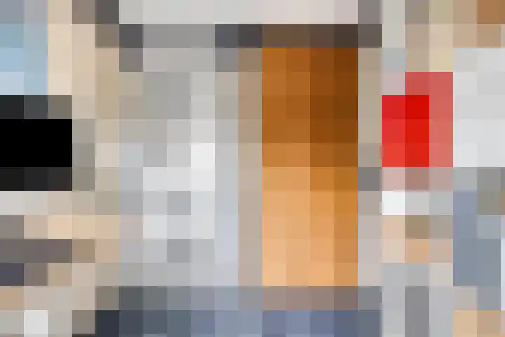 Brandgansstraat 42 Strijen thumbnail 23