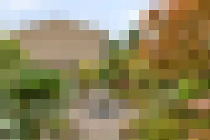 Brandgansstraat 42 Strijen thumbnail 25