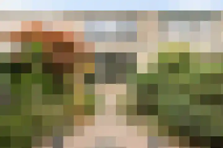Brandgansstraat 42 Strijen thumbnail 26