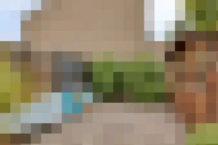Brandgansstraat 42 Strijen thumbnail 27