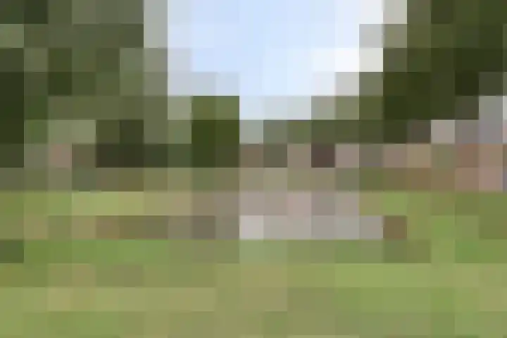 Brandgansstraat 42 Strijen thumbnail 31