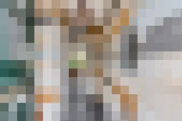 Brandgansstraat 42 Strijen thumbnail 4