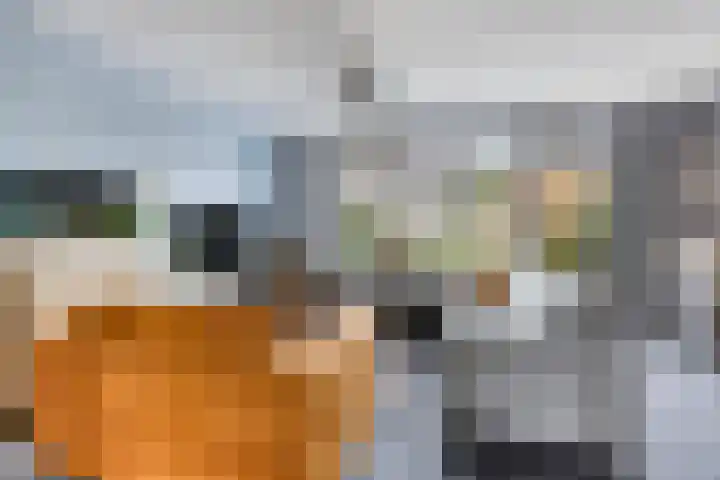 Brandgansstraat 42 Strijen thumbnail 8
