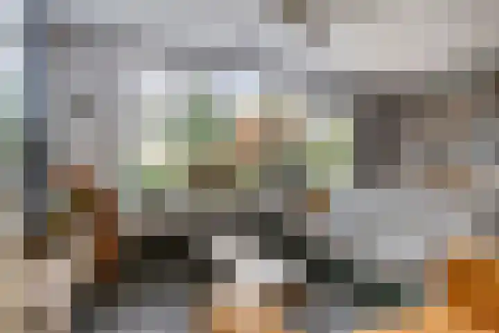 Brandgansstraat 42 Strijen thumbnail 9